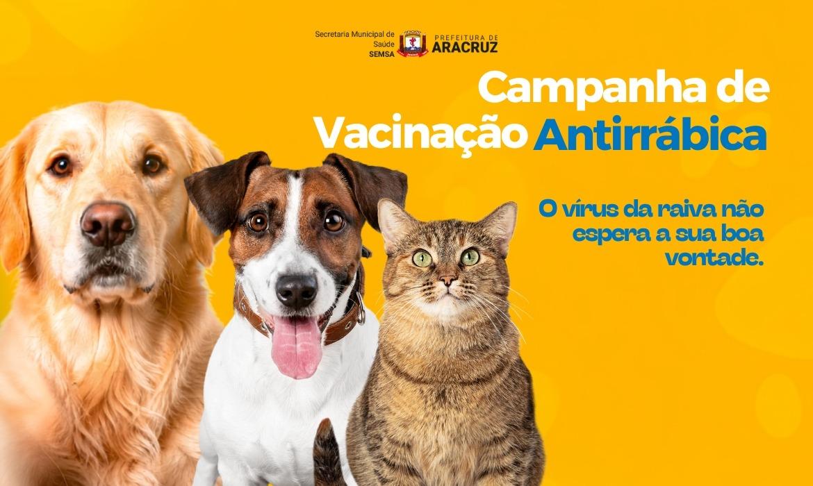 Saúde inicia Campanha de Vacinação Antirrábica para cães e gatos nesta segunda (24)
