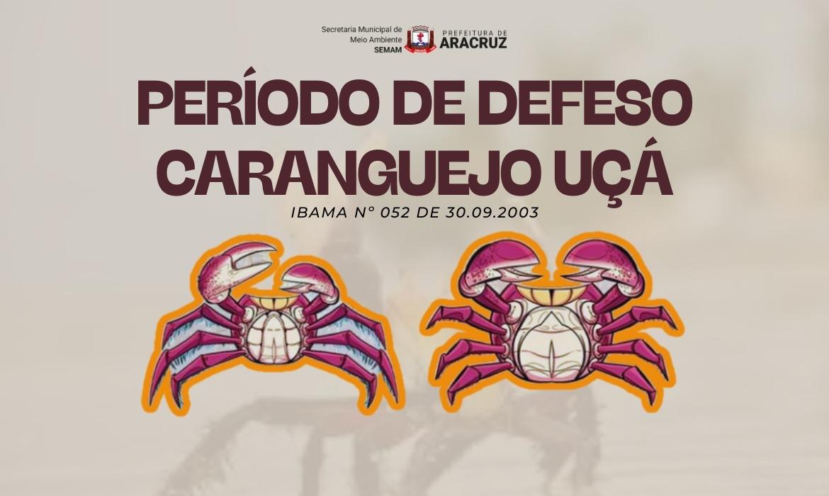 Período de defeso do caranguejo-uçá começa em outubro e restringe captura e comercialização