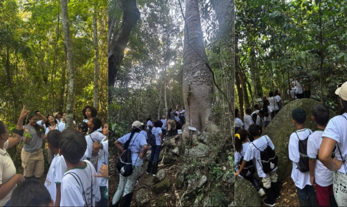 Projeto Escola no Aricanga transcende o ensino teórico e desperta nos alunos a percepção de pertencimento ao meio ambiente