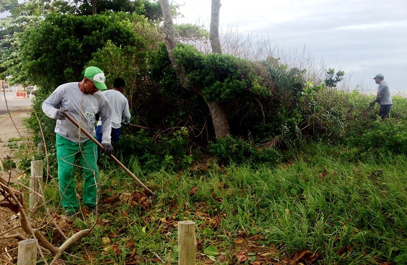 Manejo da restinga deixa o litoral aracruzense mais bonito