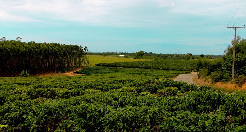Agroturismo de Aracruz em debate nesta quinta-feira