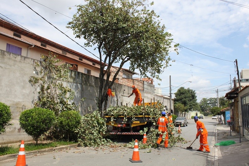 Prefeitura de Aracruz organiza a execução do serviço de podas e supressões de espécies arbóreas no município