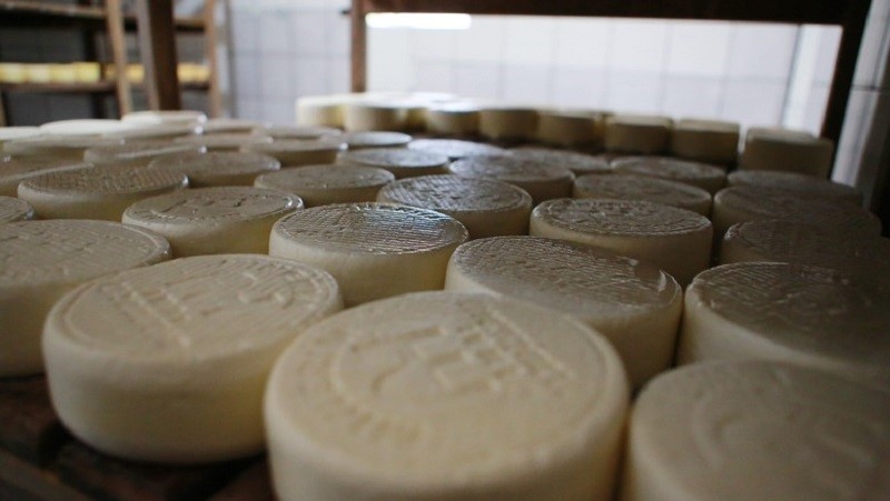 Concurso do Queijo: produtor de Três Irmãos de Jequitibá vence competição 